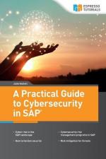 Hallett, J: Practical Guide to Cybersecurity in SAP