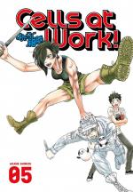 Akane Shimizu: Cells at Work! 5