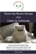 Tanya Smith: Room-by-Room Setups that Ca