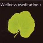 Various: Wellness Meditation 2