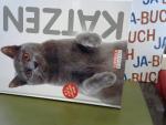 Gloria Stephens: Katzen