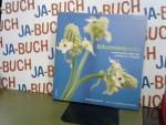 Paula Pryke: blumensolo - Minimalflorist