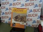 Hannelore Grimm: Kätzchen