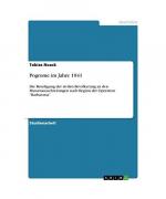 Tobias Noack: Pogrome im Jahre 1941