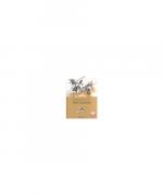 Miguel de Cervantes: Don Quijote Miguel de Cervantes: Don Quijote