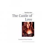 The Castle of Love