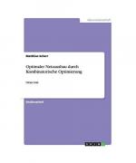 Optimaler Netzausbau durch Kombinatorische Optimierung
