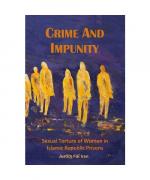 Shadi Amin: Crime and Impunity: Sexual T