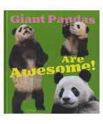 Giant Pandas Are Awesome!