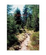 Martin Welsch: Das Tal Irminsul Martin Welsch: Das Tal Irminsul