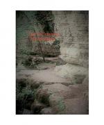 Martin Welsch: Das Tal Irminsul - Die R Martin Welsch: Das Tal Irminsul - Die R