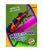 Patrick Perish: Milkweed Bugs Patrick Perish: Milkweed Bugs