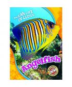 Nathan Sommer: Angelfish Nathan Sommer: Angelfish