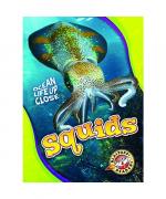 Nathan Sommer: Squids Nathan Sommer: Squids