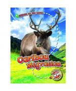 Kari Schuetz: Caribou Migration Kari Schuetz: Caribou Migration