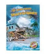 Betsy Rathburn: Hurricanes Betsy Rathburn: Hurricanes