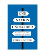 One Nation Undecided: Clear Thinking about Five Hard Issues That Divide Us