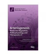 Arteriogenesis