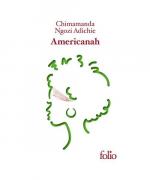 Adichie, Chimananda Ngozi: Americanah