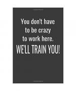 You Don't Have To Be Crazy To Work Here. We'll Train You!: Funny Simple Lined Journal 110 Page, 6x9, Sarcastic One Liners About Work