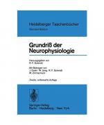 Schmidt, Robert F.: Grundriß der Neuroph