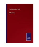 Silberblicke