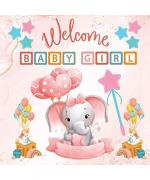 Welcome Baby Girl