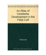 An Atlas of Cerebellar Development in the Fetal Calf