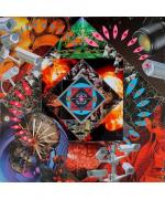 The Enigma,Boundless