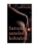Lady Damén: Sattuma sanelee kohtalon: Ai Lady Damén: Sattuma sanelee kohtalon: Ai