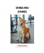 Shiba Inu (Hund)