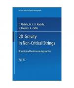 2D-Gravity in Non-Critical Strings: Discrete and Continuum Approaches (Lecture Notes in Physics Monographs, 20, Band 20)