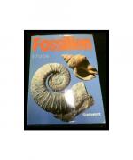 Fossilien in Farbe