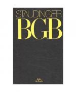 Staudinger, Julius von: Einführungsgeset