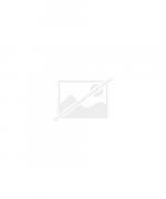 Bearb. v. Puttkamer, Ileana von: Was tun Bearb. v. Puttkamer, Ileana von: Was tun