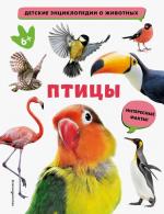 Pticy