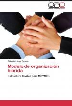 Modelo de organización híbrida / Estructura flexible para MPYMES