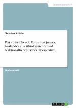 Das abweichende Verhalten junger Ausländer aus äthiologischer und reaktionstheoretischer Perspektive