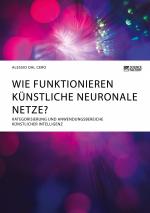 Wie funktionieren künstliche neuronale Netze? Kategorisierung und Anwendungsbereiche künstlicher Intelligenz