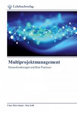 Multiprojektmanagement / Herausforderungen und Best Practices