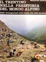 Il Trentino nella preistoria del mondo alpino. Dagli accampamenti sotto roccia alla citta´quadrata.