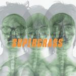 supergrass: supergrass