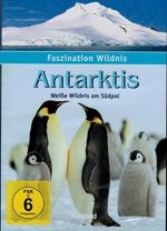 faszination wildnis - antarktis - weiße 