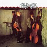stray cats: stray cats