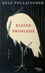 Nele Pollatschek: Kleine Probleme: Roman