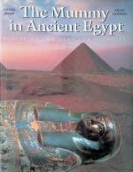 Ikram, Salima & Aidan Dodson: Mummy in A Ikram, Salima & Aidan Dodson: Mummy in A