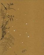 Cornelia Schmidt-Bleek : Creepers and Cl Cornelia Schmidt-Bleek : Creepers and Cl