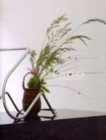 Sunah Choi : Residence for Mr. K. - (Bie Sunah Choi : Residence for Mr. K. - (Bie