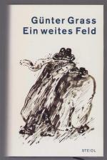 Ein weites Feld, Roman