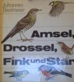 Amsel, Drossel, Fink und Star Ein Frühlingsbuch zum Verschenken mit den schönsten Versen zu Amsel, Drossel, Fink und Star